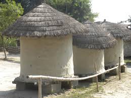 বীজ সংরক্ষণ